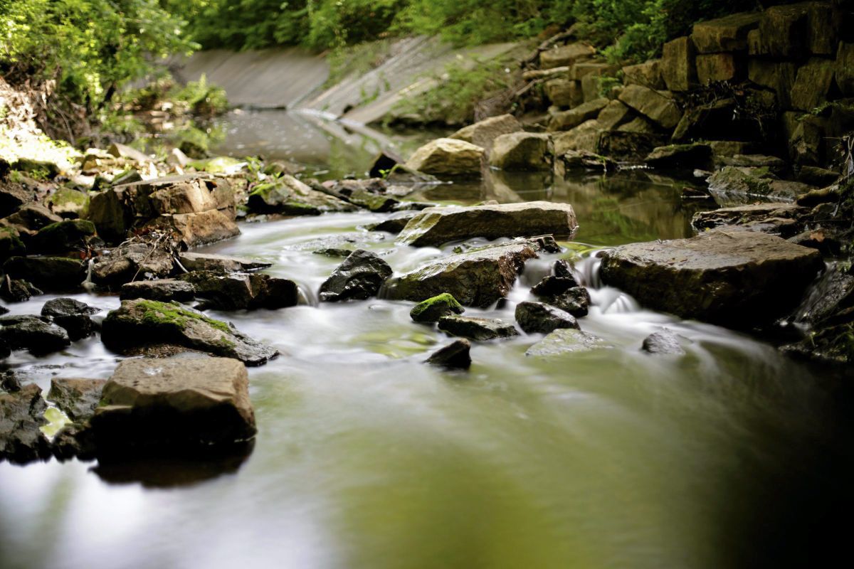 32. Be a trailblazer